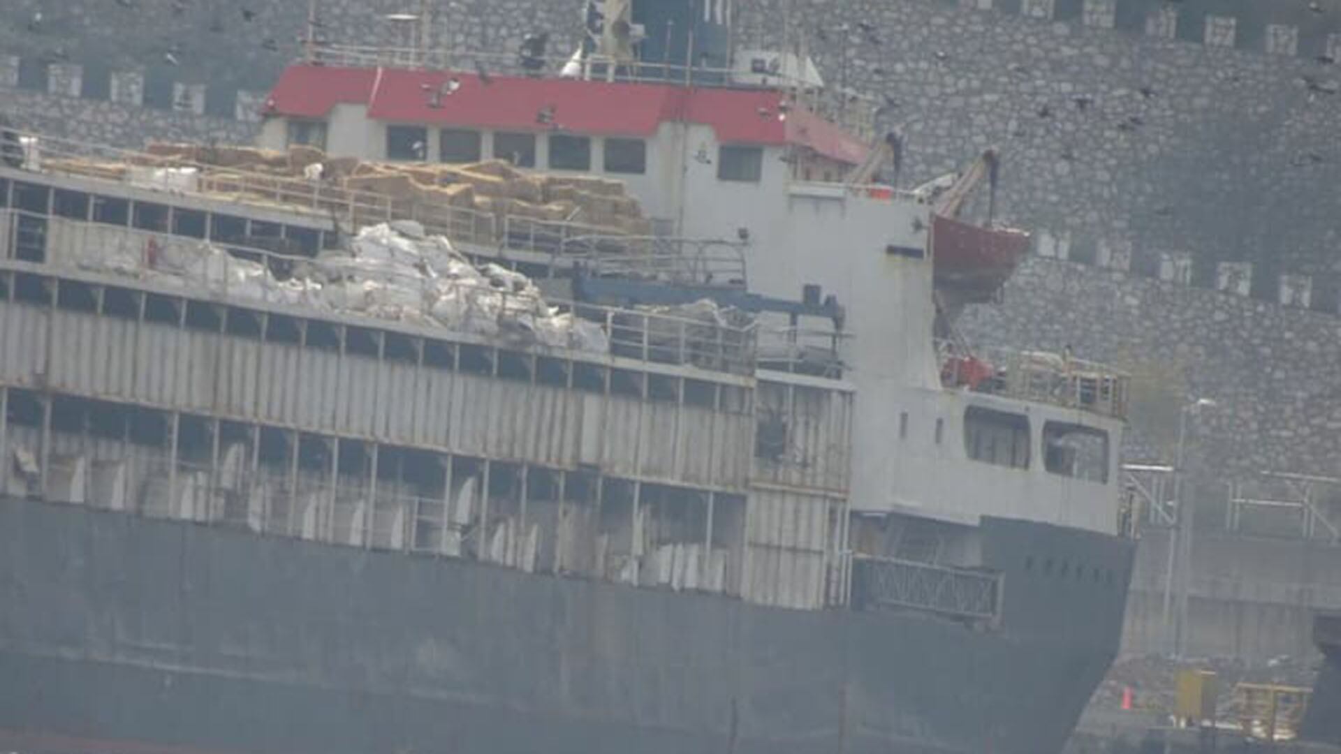 2.900 vacas de Uruguay llevan tres semanas atrapadas en un buque en Turquía