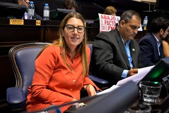 La diputada provincial, Fernanda Bevilacqua