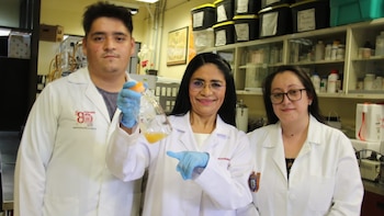 Científicos del IPN patentaron probiótico