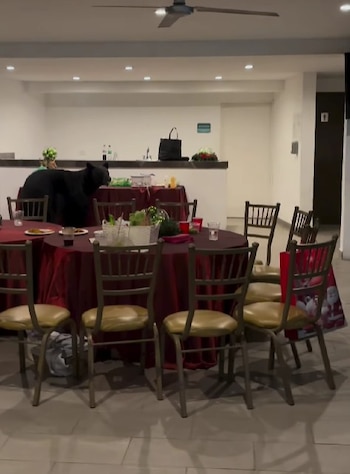 El avistamiento ocurrió en una