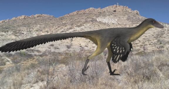 El fósil presenta adaptaciones como visión aguda y oído desarrollado, indicativas de hábitos de caza en ambientes de baja luminosidad. (@Secretaria del Medio Ambiente)