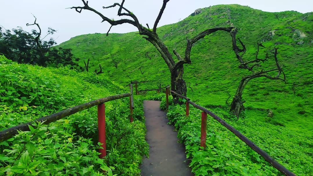 Las Lomas de Machay cuentan con senderos, espacios para ver aves y una vegetación cambiante que la vuelve un punto atractivo para la fotografía. Foto: Mochilea