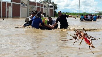 Aumento de casos de dengue