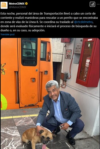 Perrito es rescatado en la