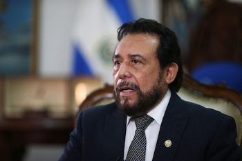 El vicepresidente realizó una misión