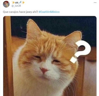 Javier Cortes, exjugador de Pumas,