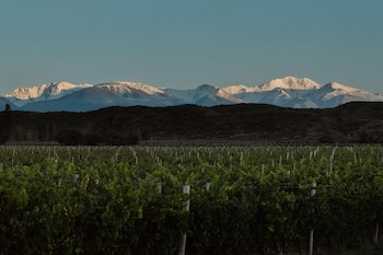 La votación de los World’s Best Vineyards se basa en expertos en vinos y turismo globales, sin criterios fijos más allá de la apertura al público