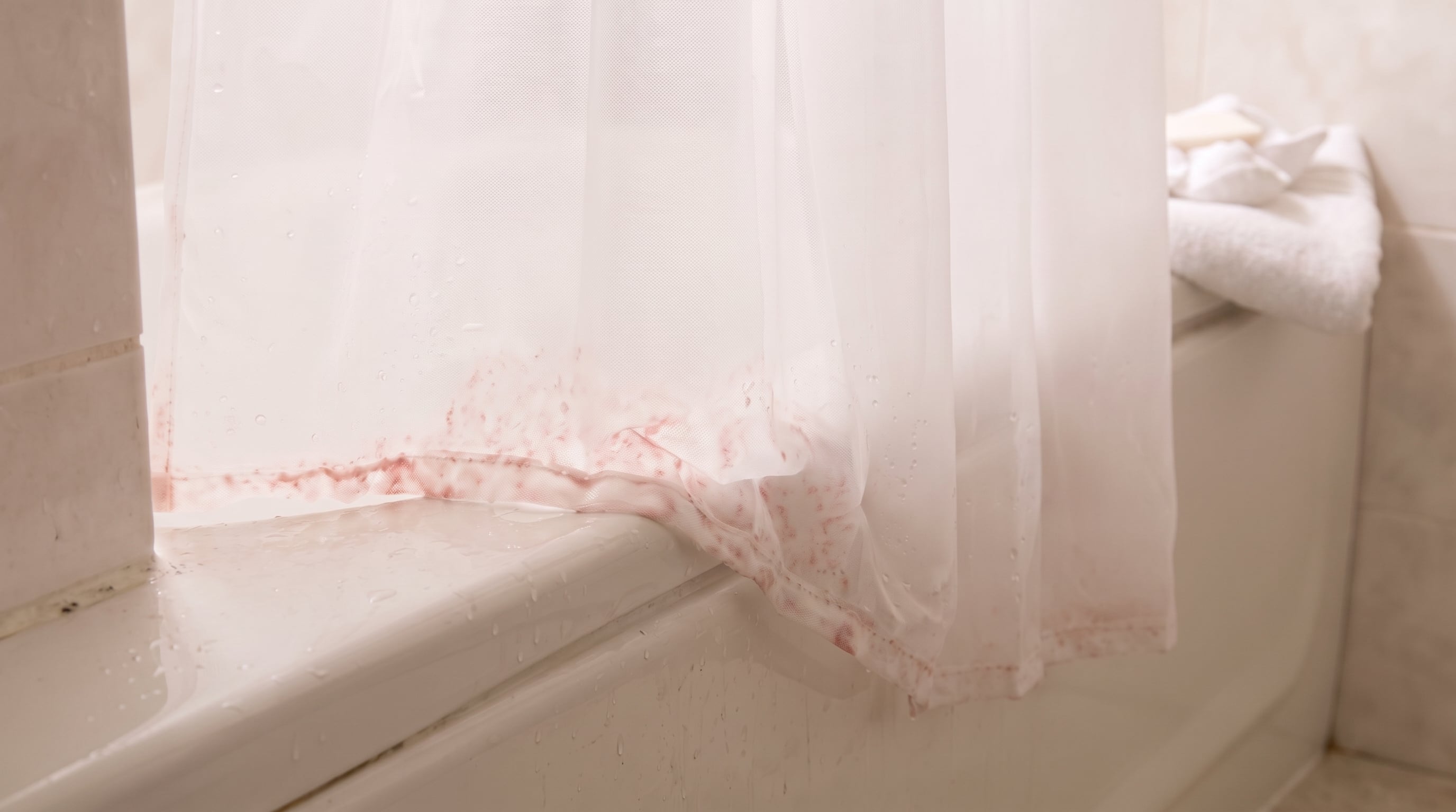 La película rosada en la cortina del baño es una biopelícula bacteriana asociada a Serratia marcescens y no moho (Imagen Ilustrativa Infobae)