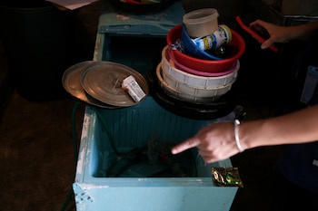 Las autoridades aconsejan tapar recipientes y voltear objetos en desuso para eliminar criaderos del insecto. (REUTERS/José Cabezas)