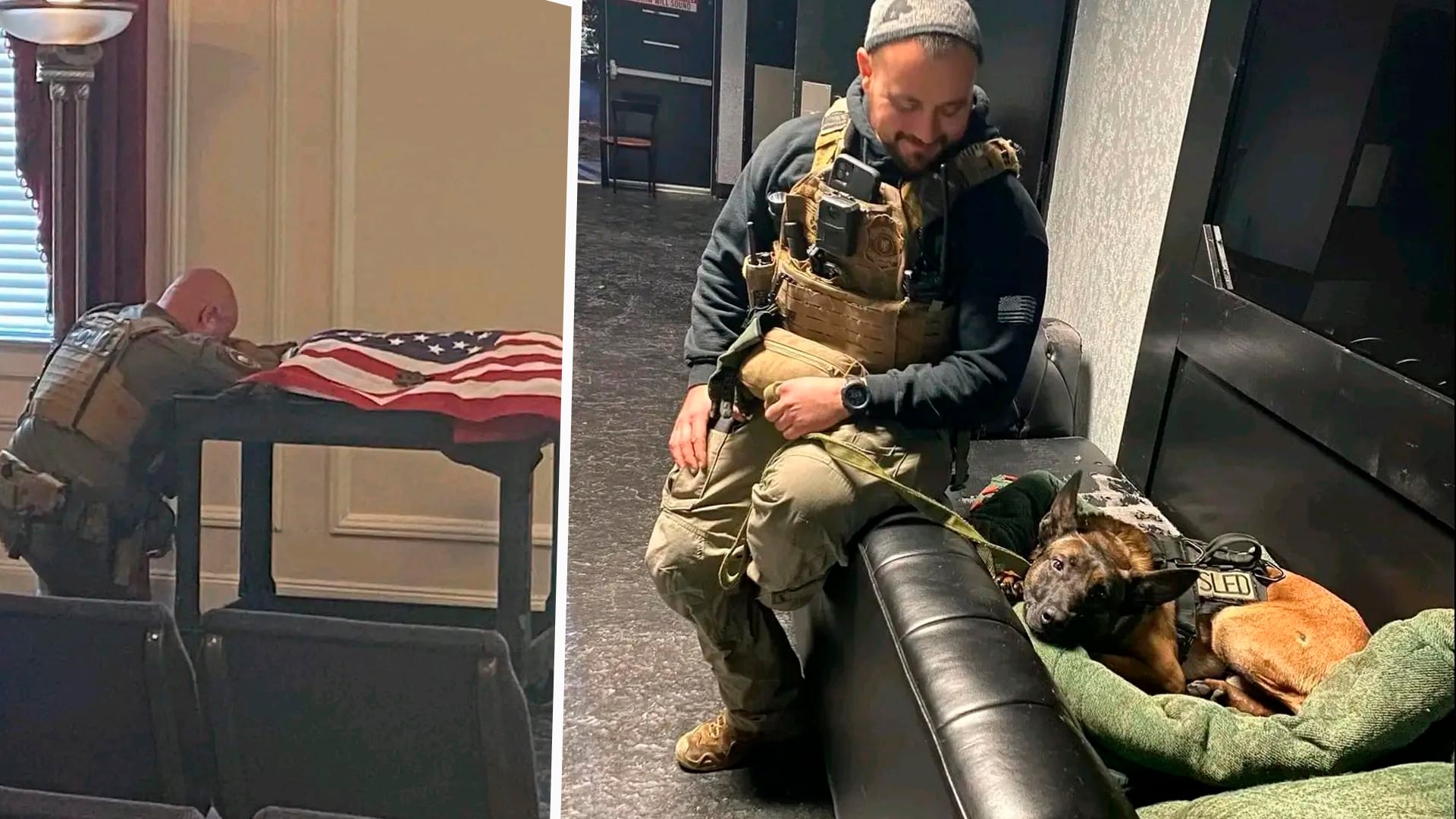 K-9 Coba muere tras confrontación armada con fugitivo en Carolina del Sur