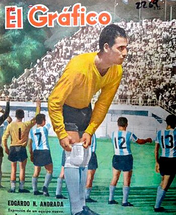 El gato Andrada en la