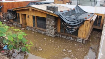Las Fuerzas armadas de Perú