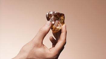 Alrosa dedica el hallazgo del