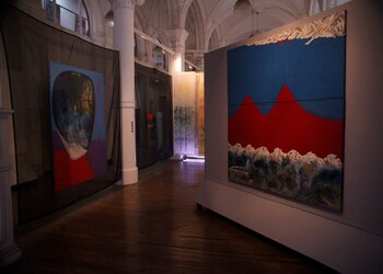 "Picturae lapidis volantis (Piedra que