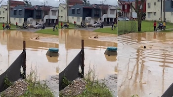 El joven que convirtió una calle inundada en piscina tras las lluvias en La Ceja, Antioquia, desató risas en redes sociales