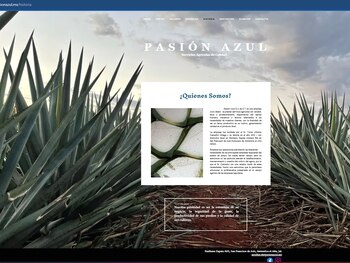 Página web de Pasión Azul, donde habla de su historia. (X/@illicitinv)