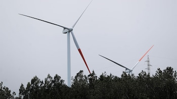 Los fondos de las renovables amenazan con embargos a la selección en el Mundial en su batalla contra España