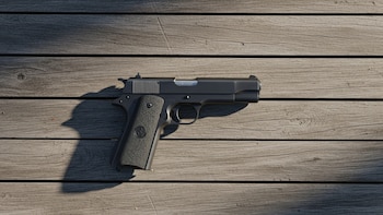 Regularización de armas en Argentina: nueva ley facilita la entrega voluntaria y el registro legal