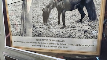 La historia de ‘Terremoto de