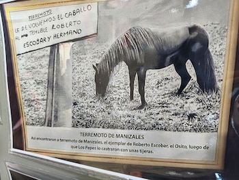 'Terremoto de Manizales' fue encontrado