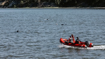 Trabajadores y voluntarios del Fondo