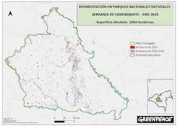 Así está la deforestación en la Serranía de Chiribiquete - crédito Greenpeace Colombia