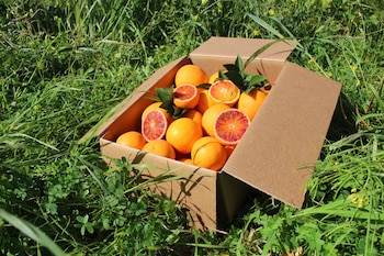 Caja de naranjas Tarocco. Bio