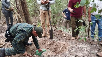 Destruyen 18.000 explosivos en Colombia