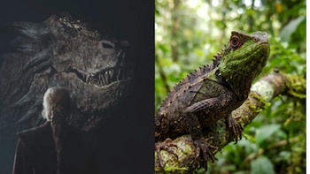 De House of the Dragon a las montañas de Tailandia: así es el lagarto que comparte nombre con el dragón de Rhaenyra