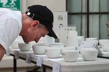 El año pasado un lote