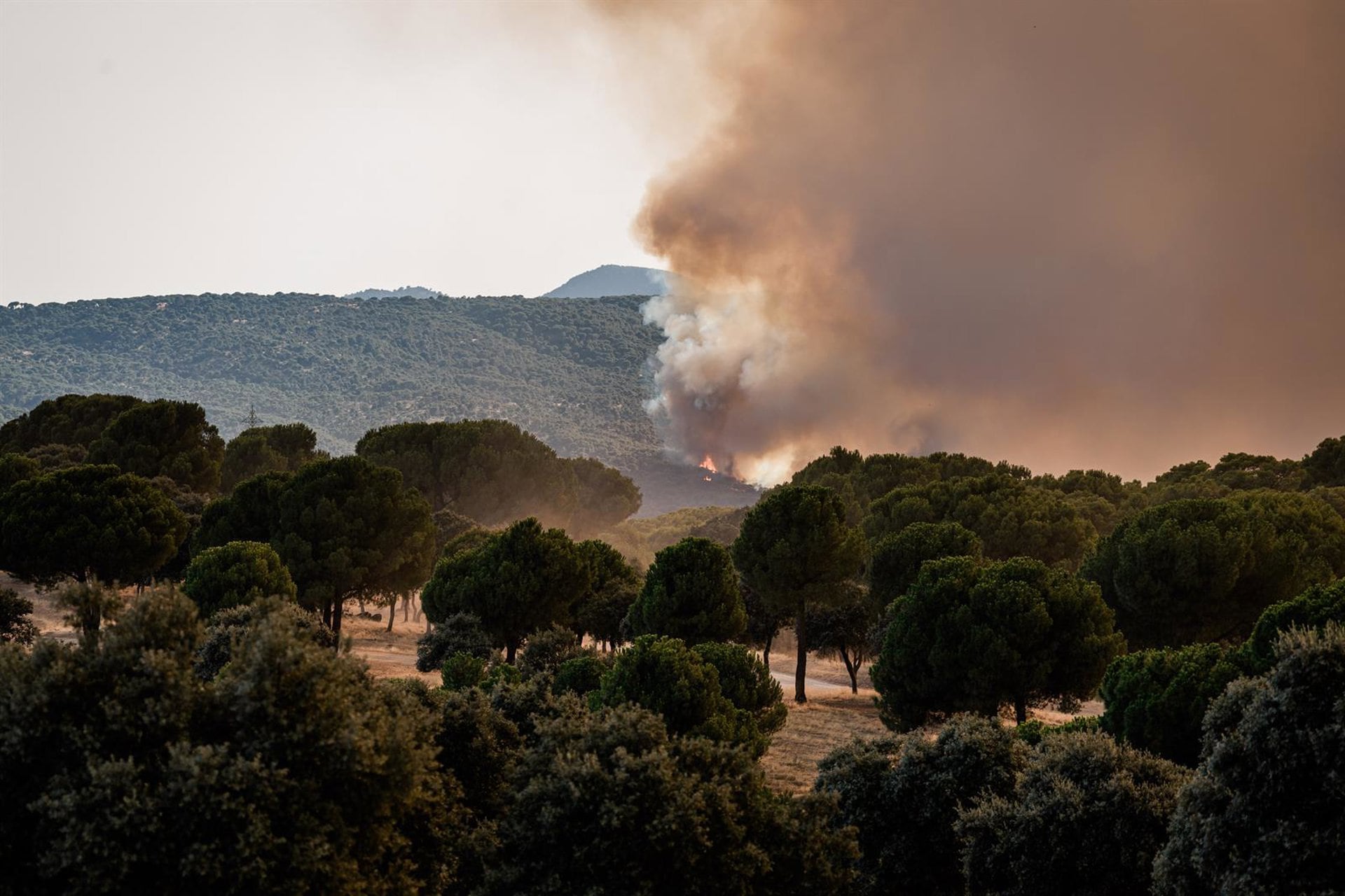 Ministros lamentan los incendios y agradecen a los profesionales su labor: "Duele ver arder nuestro territorio"