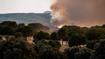 Ministros lamentan los incendios y agradecen a los profesionales su labor: "Duele ver arder nuestro territorio"