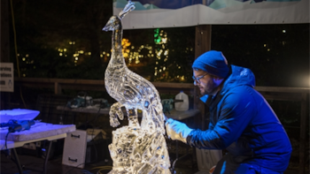 Las esculturas de hielo transforman