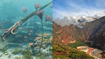 El Ingemmet encontró un importante