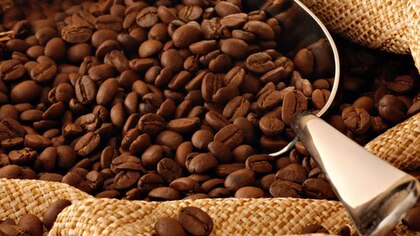 ¿Amargo, ácido o dulce?: la química revela los secretos del aroma y el sabor del café