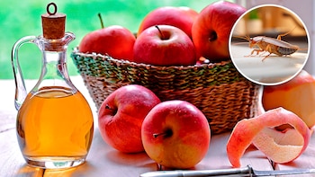 Conoce cómo utilizar el vinagre