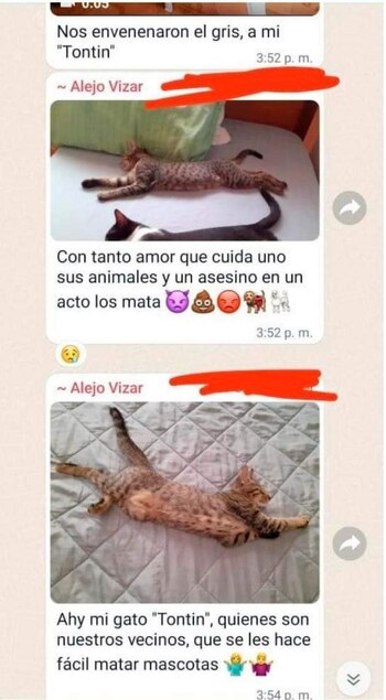 En grupos de WhatsApp los