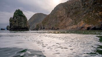 “Se ha producido un desastre