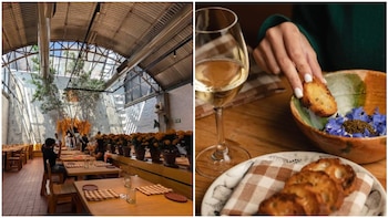 Te dejamos algunas recoemdnaciones para