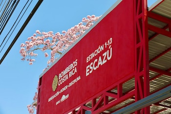 Un letrero rojo vertical de la Estación de Bomberos Costa Rica en Escazú 1-13, con letras blancas, bajo un cielo azul brillante y un árbol con flores rosadas