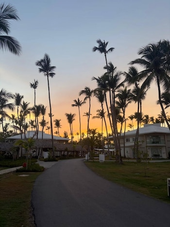 Un camino asfaltado en medio de un resort con edificios de techos de paja y fachadas blancas, rodeado de palmeras al atardecer