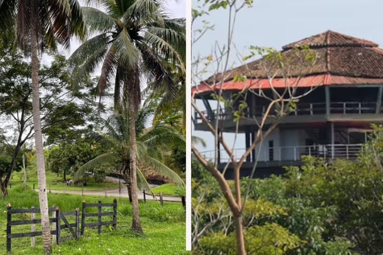 Centro de poder del paramilitarismo y del narcotráfico pasó a manos de campesinos: así fue la entrega de la hacienda de la Virgen del Cobre - Infobae