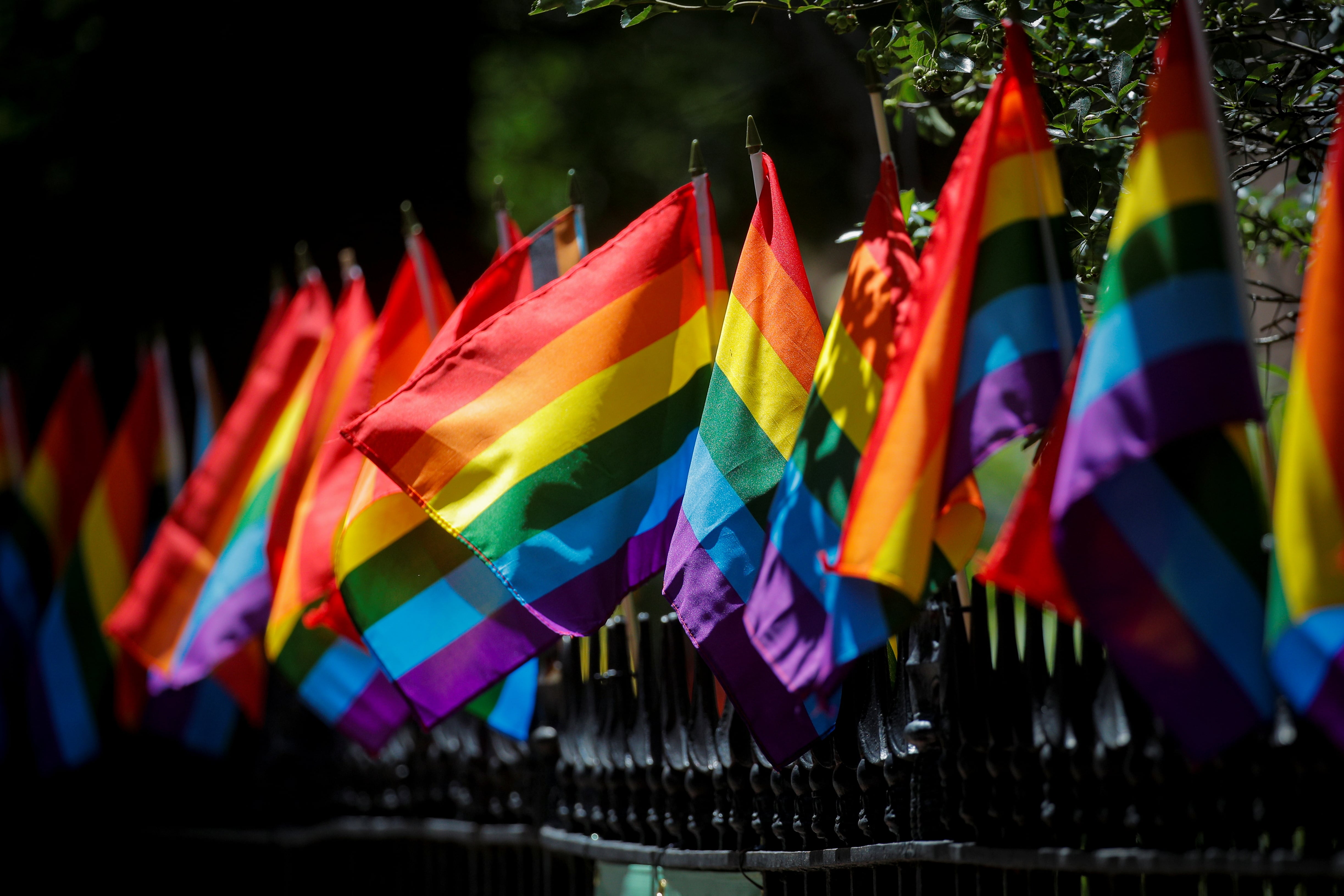 El apoyo al matrimonio igualitario en Estados Unidos baja a 65% tras dos décadas de subidas (REUTERS/Brendan McDermid)