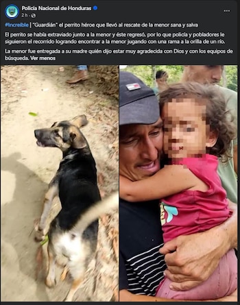 Perro mestizo “Guardián” y una niña de tres años extraviada en Colón: el detalle que cambió la búsqueda.