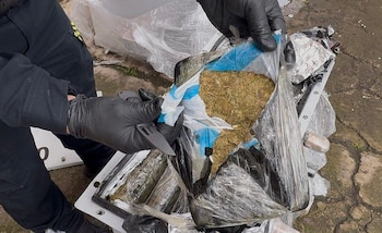 La marihuana tenía como destino