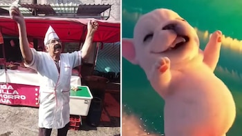 Taquero mexicano se vuelve viral por imitar al perrito ‘Pibble’; usuarios quieren ir a comprarle