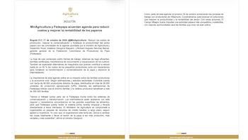 El plan contempla riego eficiente, semilla certificada, transferencia de conocimiento y mecanización de los cultivos de papa - crédito captura @MinAgricultura/X