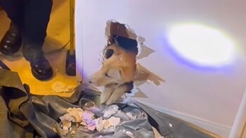 Faye terminó dentro de la