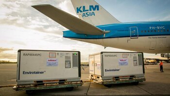 Este domingo llegaron las 96