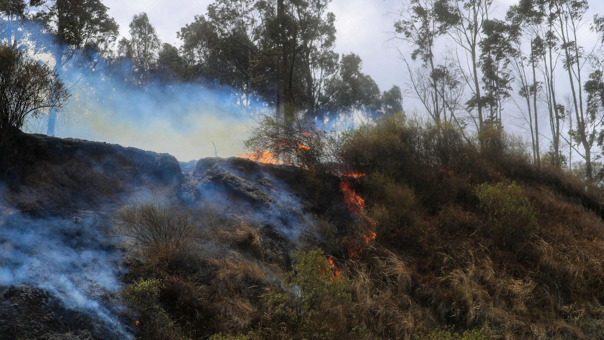 Incendios en Ecuador
